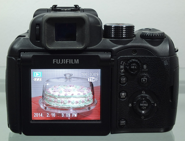 Fuji Finepix S100FS with and without Expert Shield