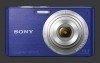 Sony Cybershot DSC-W610