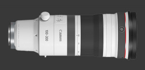 Canon RF 100-300mm F/2.8L IS USM