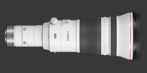 Canon RF 800mm F/5.6L IS USM