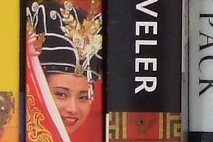 Fuji Finepix S100FS - ISO 100 Crop