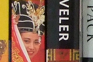 Fuji Finepix S100FS - ISO 800 Crop