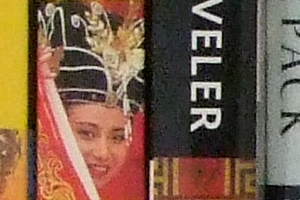 Fuji Finepix S100FS - ISO 1600 Crop