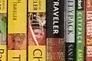 Fuji Finepix S100FS - ISO 1600 Crop