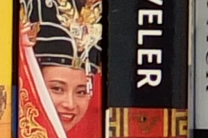 Fuji X-S1 - ISO 100 Crop