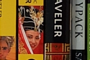 Fuji X-S1 - ISO 100 Crop