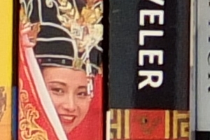 Fuji X-S1 - ISO 200 Crop