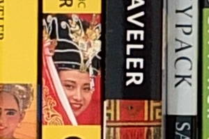 Fuji X-S1 - ISO 200 Crop