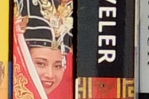 Fuji X-S1 - ISO 400 Crop