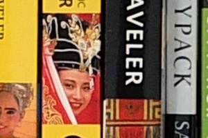 Fuji X-S1 - ISO 400 Crop