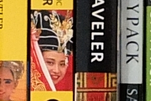 Fuji X-S1 - ISO 800 Crop