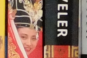 Fuji X-S1 - ISO 1600 Crop