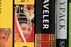 Fuji X-S1 - ISO 3200 Crop