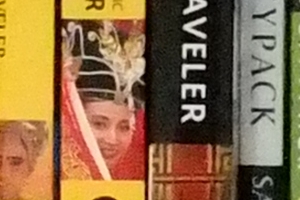 Fuji Finepix X-S1 - ISO 1600 Crop