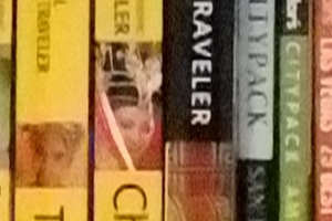 Fuji Finepix X-S1 - ISO 1600 Crop