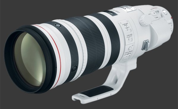Canon 200-400mm F/4L IS USM Extender 1.4X