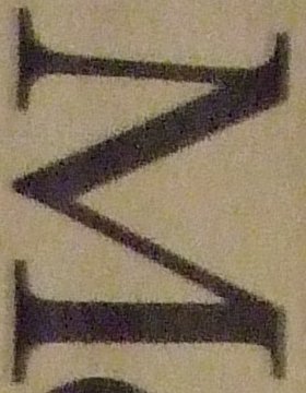 ISO 1600 - 12 MP - Fuji F50SE