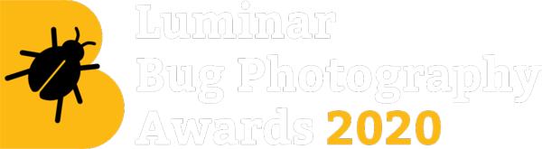 Luminar Bug Photography Awards