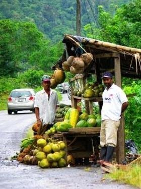 Roadside Fruit Stand